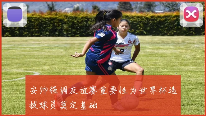 安帅强调友谊赛重要性为世界杯选拔球员奠定基础