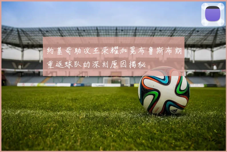 约基奇助攻王荣耀加冕布鲁斯布朗重返球队的深刻原因揭秘